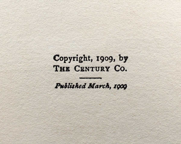 Old Lady Number 31 by Louise Forsslund, 1917 - Antique Classic Literature (original copyright 1909)