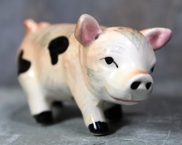 Vintage Porcelain Piggies | Vintage Ceramic Pig | Piggy Figurine | Hand Painted Figurine